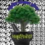 ayurvedawellnesscenter_01