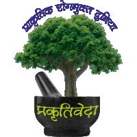 ayurvedatreatments01