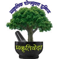 ayurvedawellness07