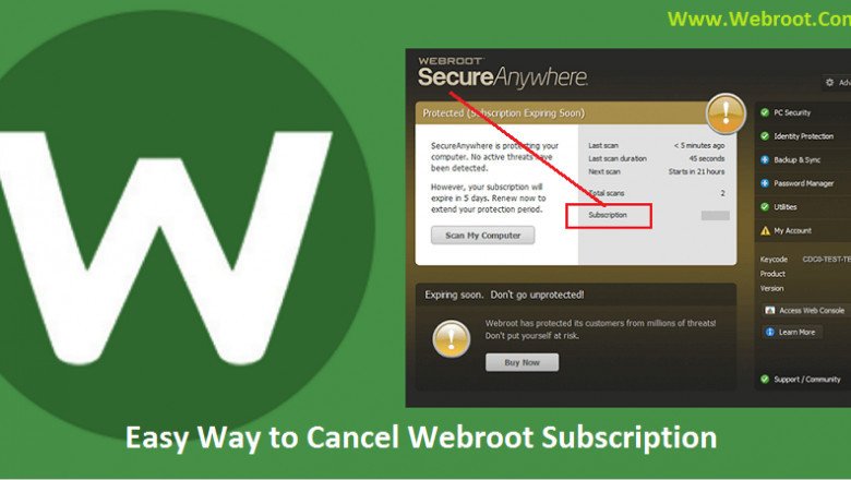 How Do I Cancel Webroot Antivirus Subscription?