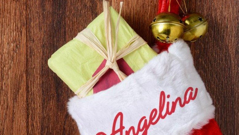 Personalized Christmas Stockings (Smooth and Silky Furs)