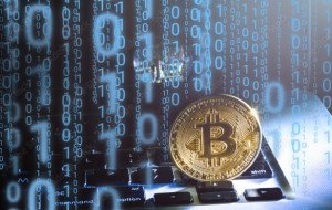 Cryptocurrency Software Developers in India