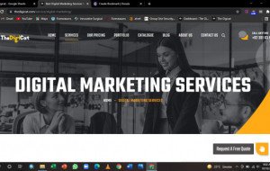 Best Digital Marketing Services In USA & UK - The Digicat
