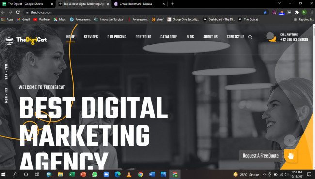 Top & Best Digital Marketing Agency In USA & UK - The Digicat