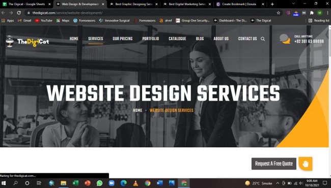 Web Design & Development Services In USA & UK - The Digicat