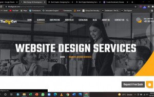 Web Design & Development Services In USA & UK - The Digicat
