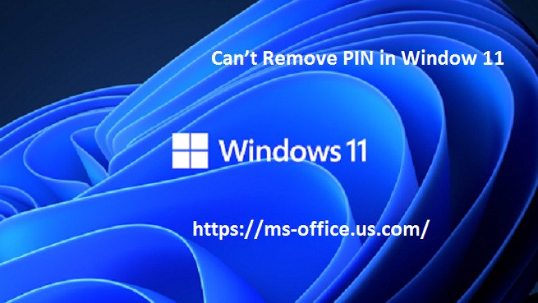 How To Fix If Can’t Remove PIN in Window 11?