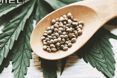 HEMP SEED – YOUR SECRET SKINCARE WEAPON |Miel Natural