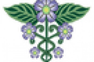 Wild Mediterranean Oregano Oil