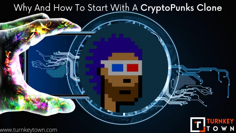 Why White-Label Cryptopunks Clone Is Essential For Aspiring Entrepreneurs?