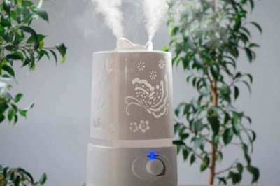 Should I use dehumidifiers in summer or winter?