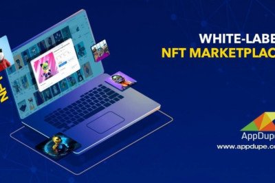 Where can I get a white-label NFT marketplace solution?