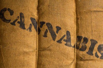 Things to Know about Cannabis! Is It healthy?