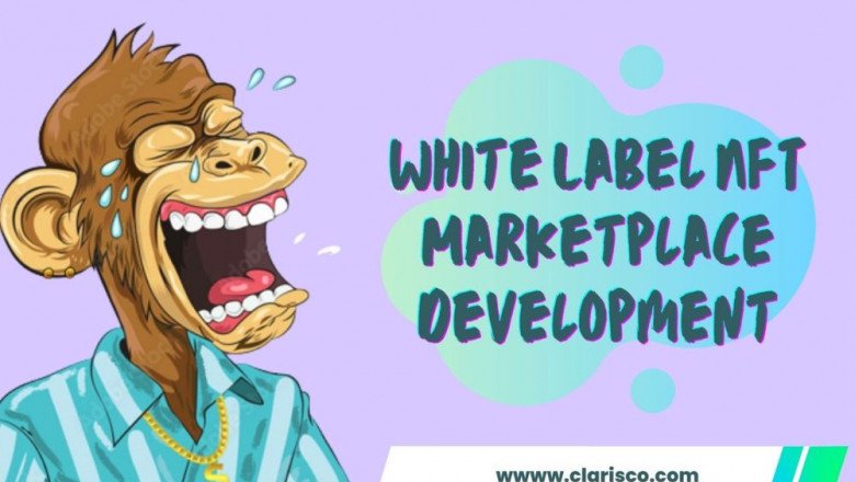 Grab Your Own White Label Nft Marketplace Platform For A 50% Offer