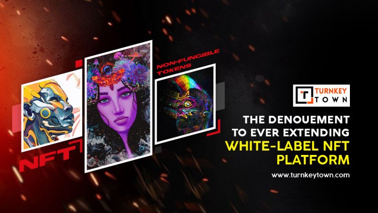 Take your NFT World to the next level with White Label NFT Marketplace Development