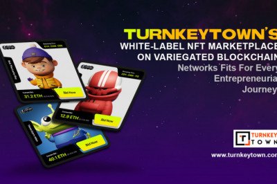 White-label Marketplace: The Best Choice for NFT Marketplace Development