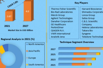 Global Protein Electrophoresis Market Growth Statistics, Prominent Players Strategies, Size, Forthcoming Developments, Upcoming Investments And Forecast 2027
