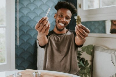 History Of Cannabis Legalization In Canada