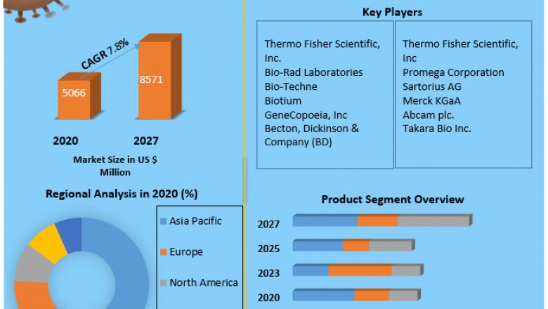Global Apoptosis Assay Market development, opportunities and forecast 2027