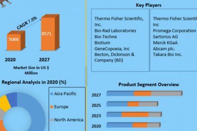Global Apoptosis Assay Market development, opportunities and forecast 2027
