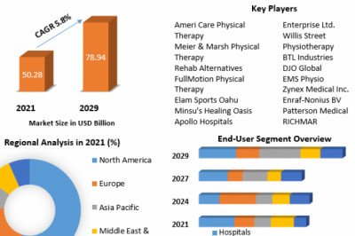 Global Physiotherapy Services Market Future, Electronics, Growing Demands and Forecast  2029