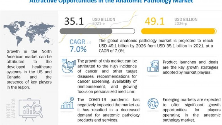 What are the top 10 companies in the Anatomic Pathology Market?