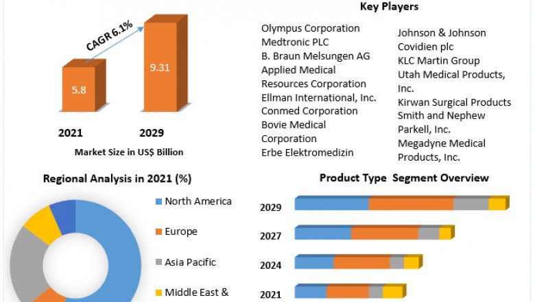 Global Electrosurgery Market Future, Electronics, Growing Demands and Forecast 2029
