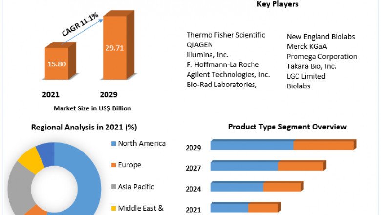 Global Molecular Biology Enzymes Reagents and Kits Market opportunities, top manufacturers and forecast 2029