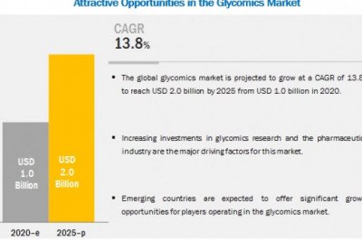 Glycobiology/Glycomics Market - Global Outlook and Forecast 2025