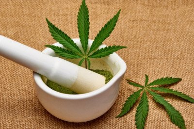 Does Getting High with Cannabis Relieve Pain?