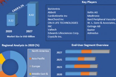 Cardiac Restoration System Market Share, Leaders, Growth, Business Strategies, Revenue, Global, Technology, Application And Growth, Rate Upto 2029
