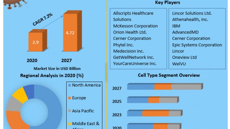 Global Cell Lysis Market Growth Factors, Solution Type, Segmentation and Forecast 2029