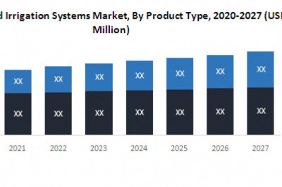 Global Wound Irrigation Systems Market Outlook, Industry Analysis Report and Forecast 2029