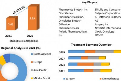 Global Pancreatic Cancer Market Growth Factors, Future Estimation And Forecast 2029