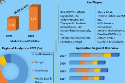 Global PEGylated Proteins Market Opportunities, Outlook and Forecast 2029