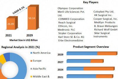 Global Wireless Brain Sensor Market Business, opportunities, Development, Growth And Forecast 2029