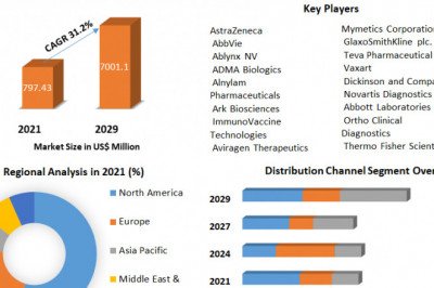 Respiratory Syncytial Virus Therapeutics Market Application, Leading Players, Trends And Forecast 2029