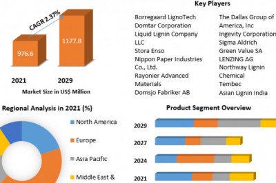 Lignin Market | Business Strategy , Growth, Opportunities And Forecast 2029