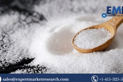 Global Onion Salt Market Size Expected To Witness Steady Growth In The Forecast Period Of 2023-2028