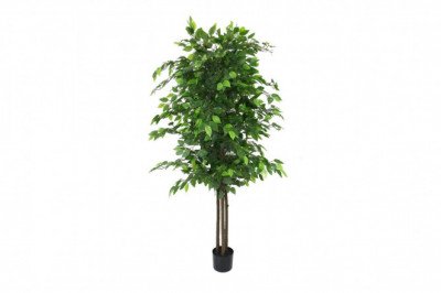 Shop For Beautiful Large Artificial Trees in Australia
