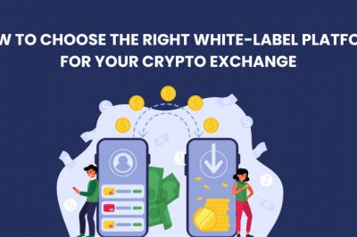 How to choose the right white-label platform for your Crypto Exchange