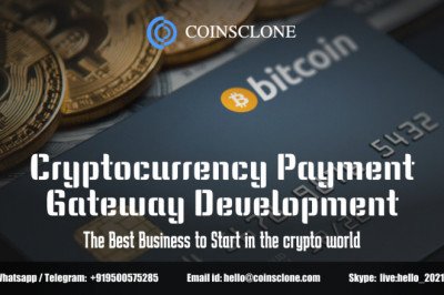 Cryptocurrency Payment Gateway Development - The Best Business to Start in the crypto world