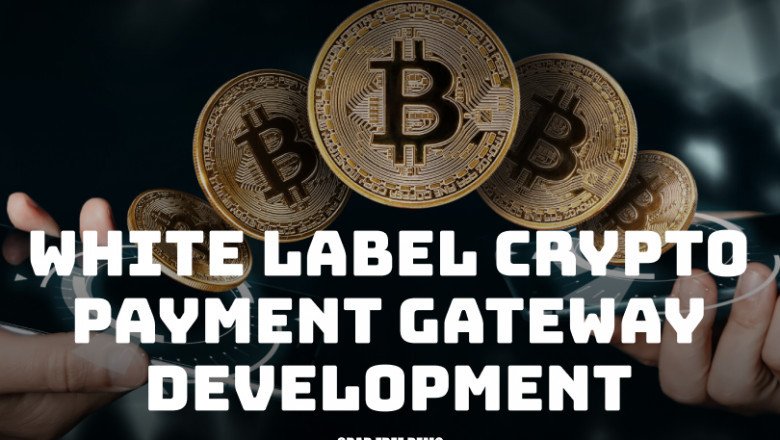 White label Crypto payment gateway software for crypto startups