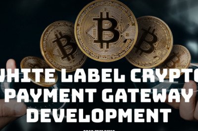 White label Crypto payment gateway software for crypto startups