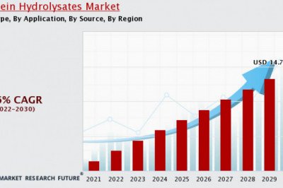 Protein Hydrolysates Market Report Overview’s Key Player, Business Prospect, Forecast 2020-2030.