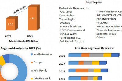 Scrubber System Market Revenue Growth Regional Share Analysis and Forecast Till 2029