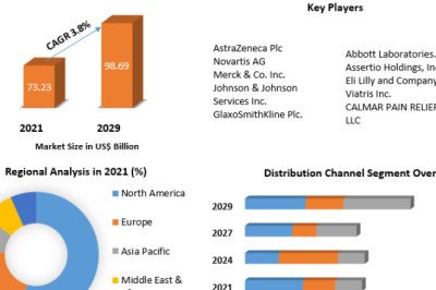 Pain Management Therapeutics Market Size Study, By Type, Application and Regional Forecasts 2027