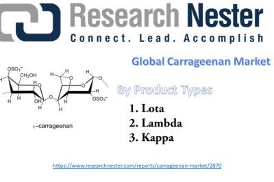 Global Carrageenan Market to Record a Notable CAGR During 2021-2029; Market to Grow on Account of the Numerous Functional Benefits of Carrageenan, Along with the Growing Demand for Bio-Based Food Ingredients
