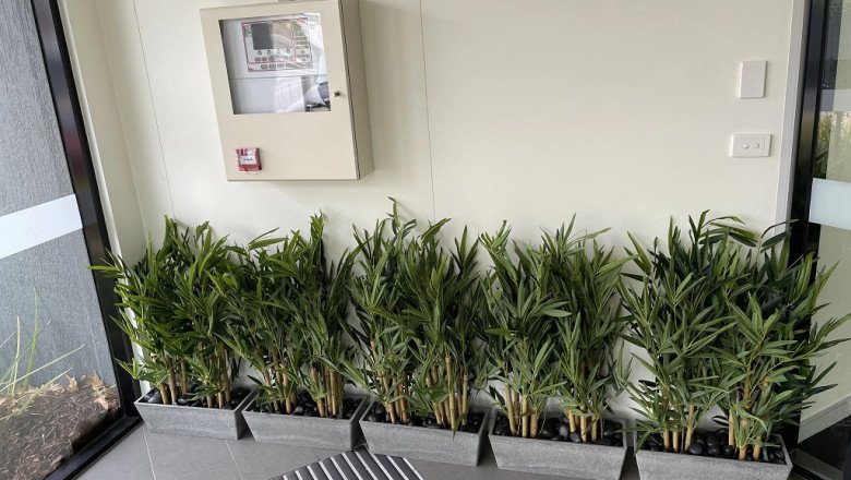 Create the Garden of Your Dreams With Artificial Plants in Brisbane