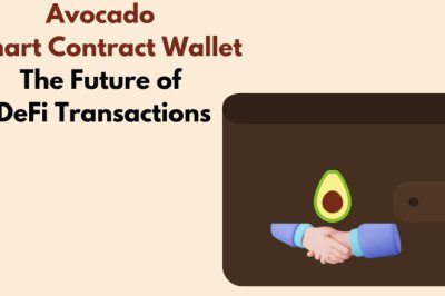 Instadapp's Avocado Smart Contract Wallet Stir Up DeFi Transactions
